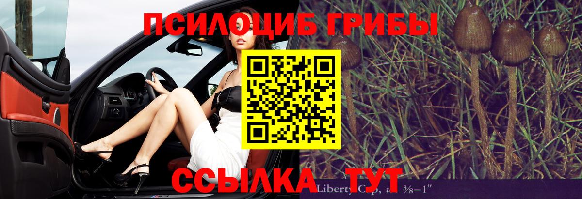 Ирбит  Псилоцибиновые грибы MAGIC MUSHROOMS  Вход с VPN 