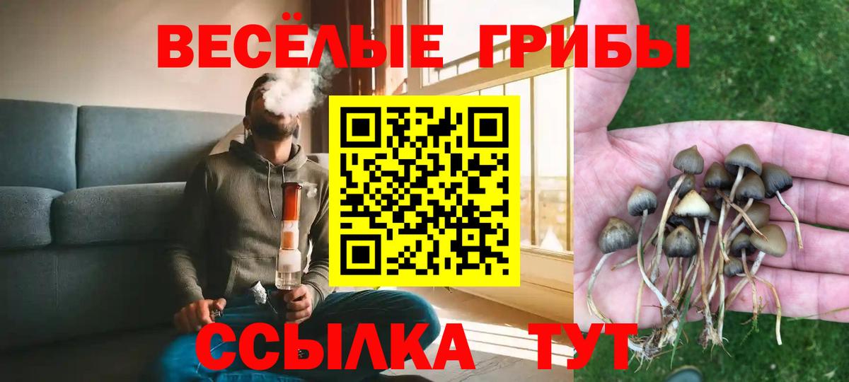 Псилоцибиновые грибы мицелий Ирбит